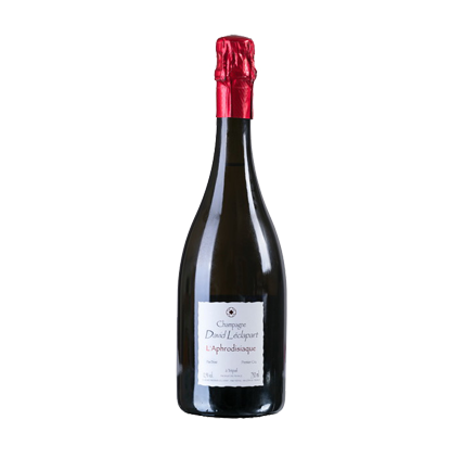Aphrodisiaque recto