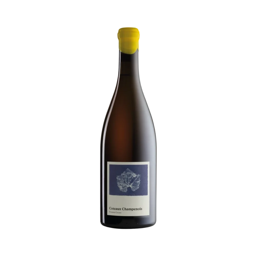 Coteaux Champenois Blanc