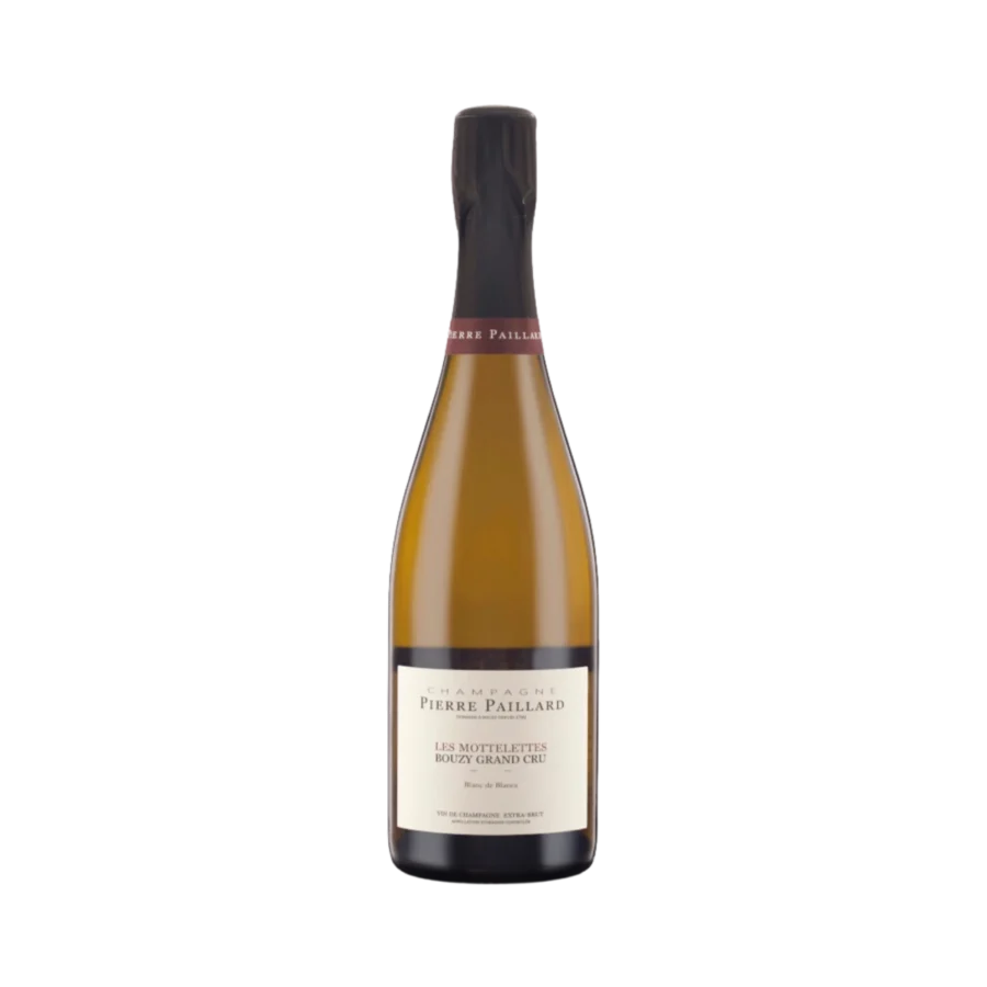 Les Mottelettes Bouzy Grand Cru 2019