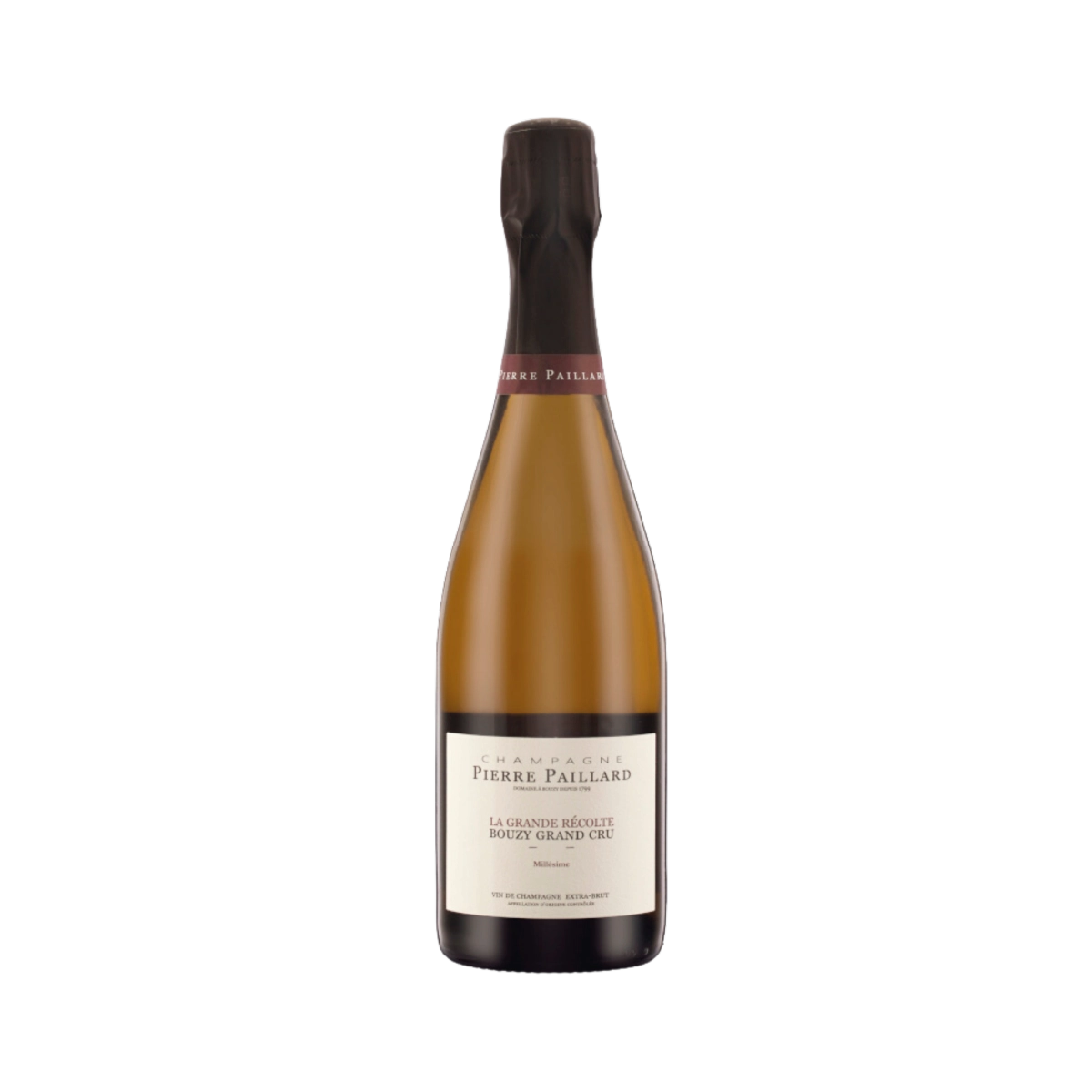 Les Mottelettes Bouzy Grand Cru 2020
